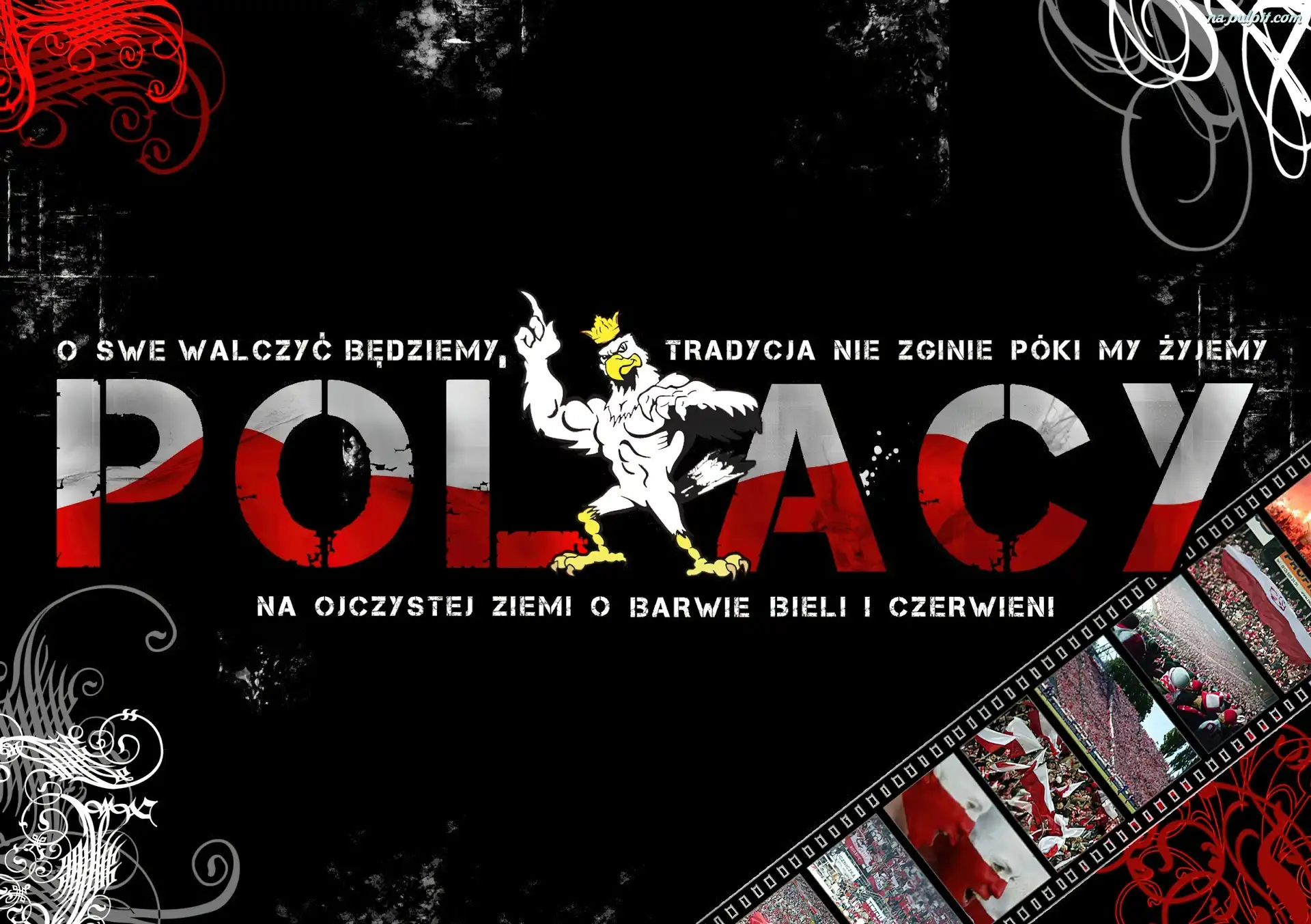 polacy-kibice-patriot.jpeg